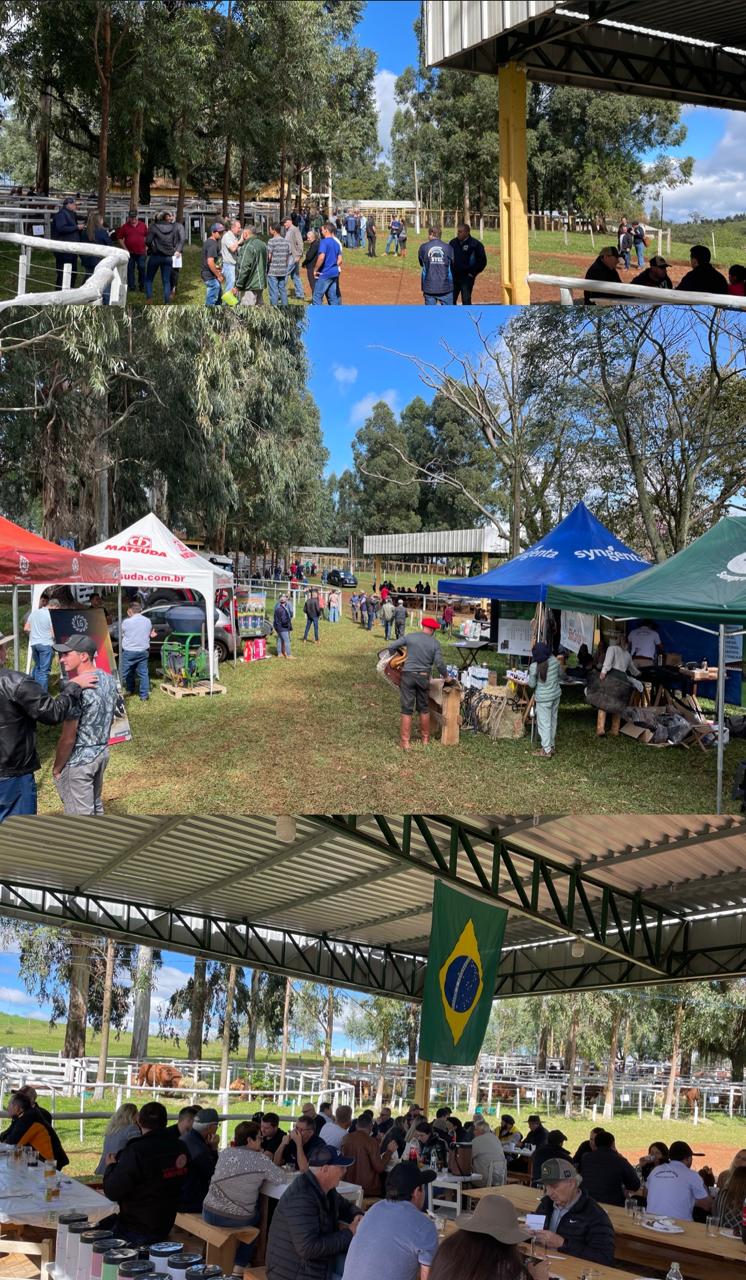 9º Leilão de Reprodutores Rústicos - Hereford, Braford, Angus e Brangus