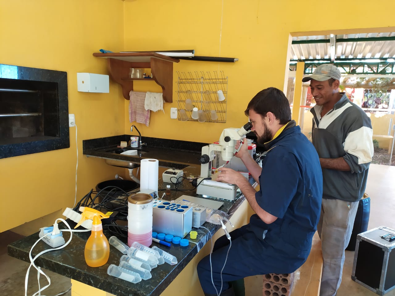 Aspiração dos Óvulos na Fazenda 2 Irmãos